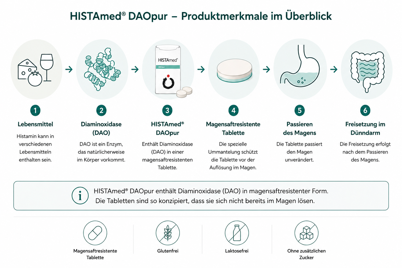 Wirkweise von Histamed DAOpur zur unterstützung des Histaminabbaus aus der Nahrung