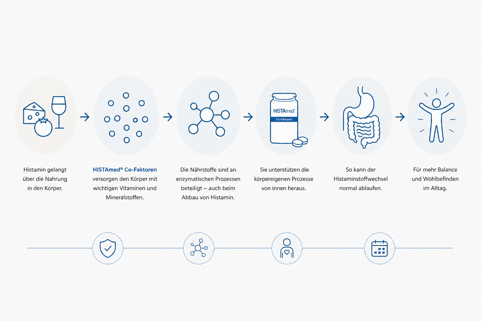 Infografik zur Wirkung von HIstamed Co-Faktoren